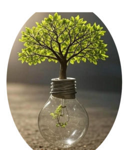 Politique environnement et énergie